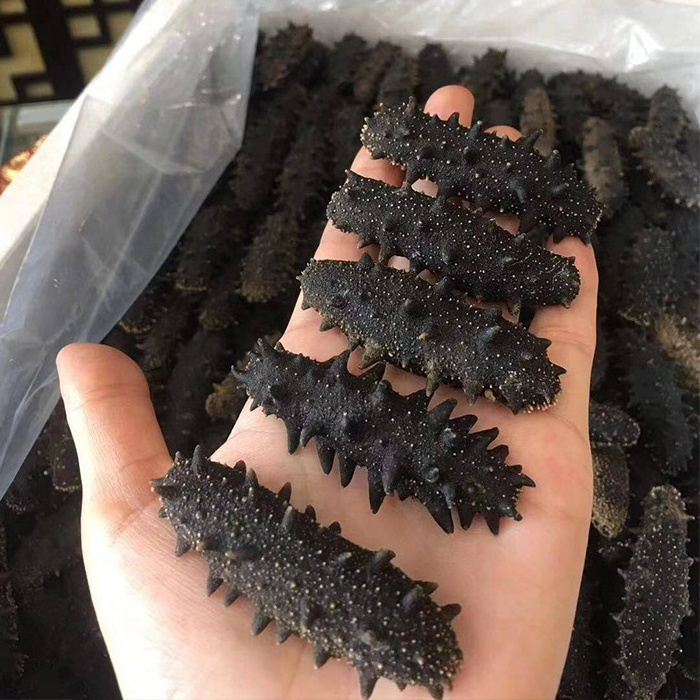 Factory buyer price dry sea cucumber dried sea cucumber for sale