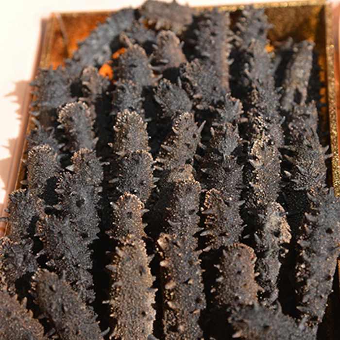 Factory buyer price dry sea cucumber dried sea cucumber for sale