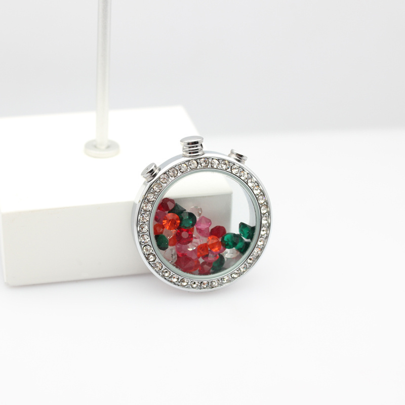 Necklace Keychain Charms Gift Photo Pet Collars Glass Floating Living Memory Locket For Women Ashes Birthstone Flower Jewelry