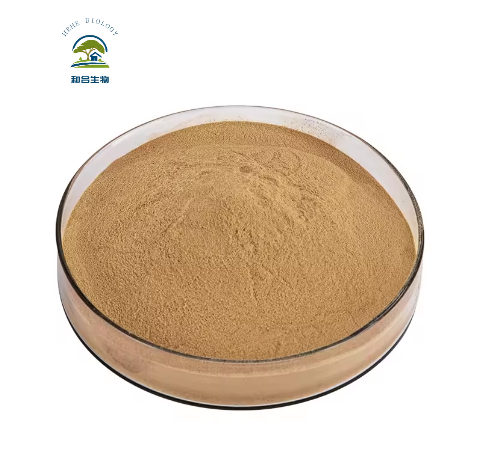 High Quality Tea Tree Mushroom Powder/Agrocybe Chaxingu Extract Powder