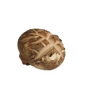 middle organic mushroom green shiitake delicious flower mushroom farmer mushroom 3-9cm 4-10cm