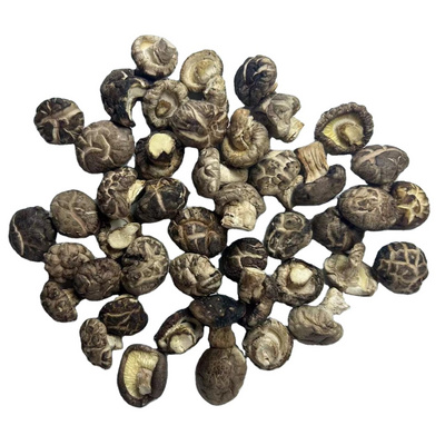 wholesale dried shiitake mushroom high quality organic dried flower shiitake mushroom whole mushroom( 4-5cm )