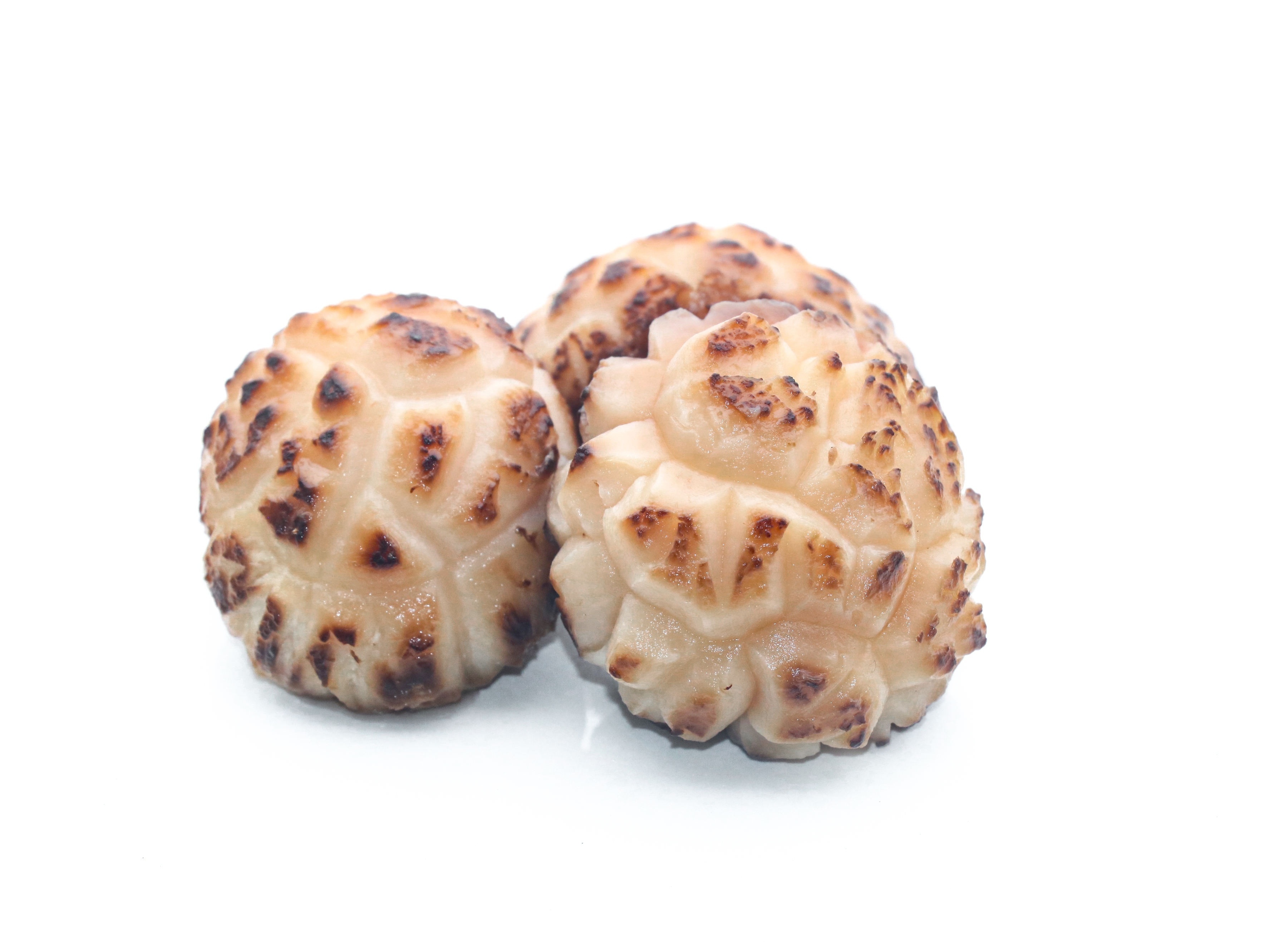 buy fresh morel mushroom,wholesale price wild black or white morel mushroom