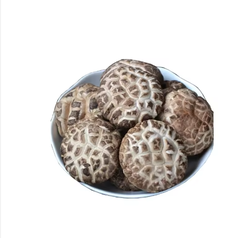 wholesale price top grade wild black or white morel mushroom - buy fresh morel mushroom