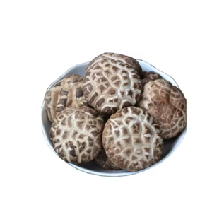 wholesale price top grade wild black or white morel mushroom - buy fresh morel mushroom