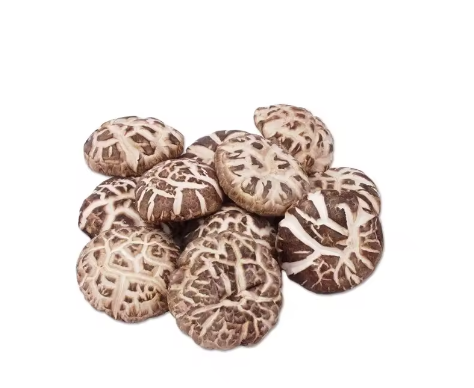 buy fresh morel mushroom,wholesale price top grade wild black or white morel mushroom