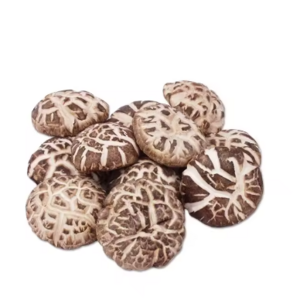 buy fresh morel mushroom,wholesale price top grade wild black or white morel mushroom