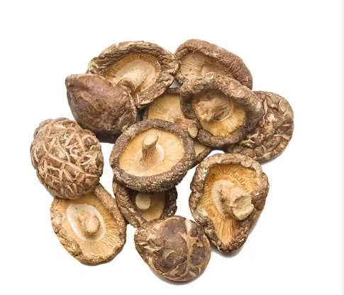 buy fresh morel mushroom,wholesale price wild black or white morel mushroom