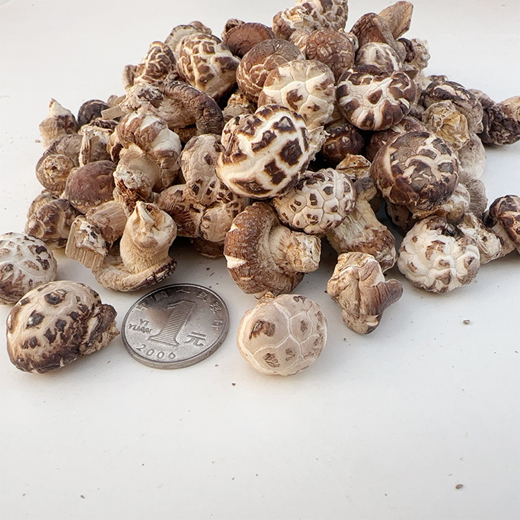 buy fresh morel mushroom,wholesale price top grade wild black or white morel mushroom