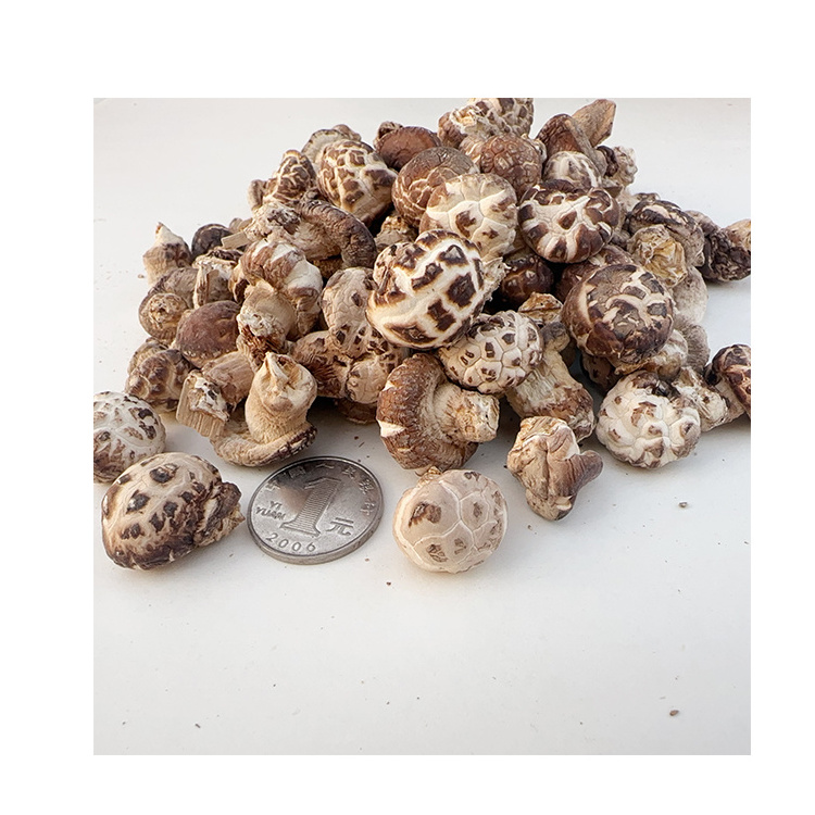 wholesale organic driedmushroom best shiitake mushroom for dish forest mushroom