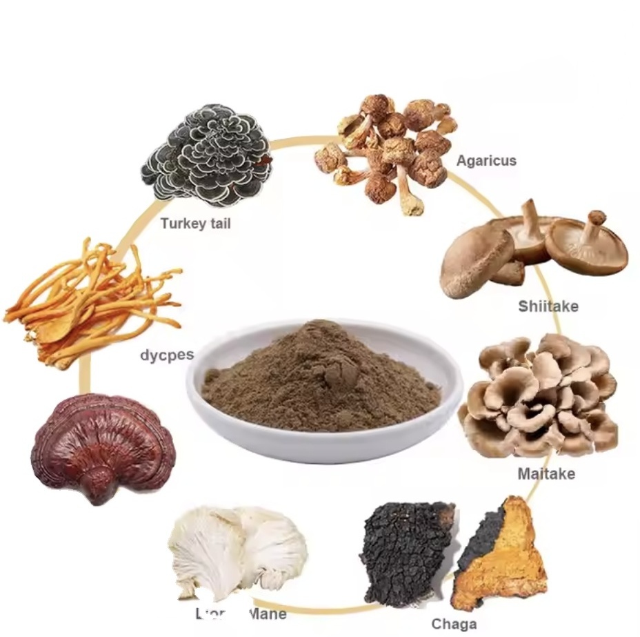 8 in 1 powerful mushroom extract blend powder complex Lions Mane, Reishi, Cordyceps, Chaga, Shiitake, Maitake,turkey tail