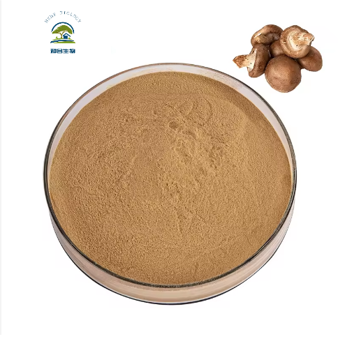 High Quality Tea Tree Mushroom Powder/Agrocybe Chaxingu Extract Powder