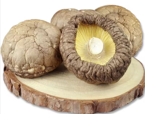 various specification china supplier fresh mushroom chinese enoki mushroom - buy golden enoki