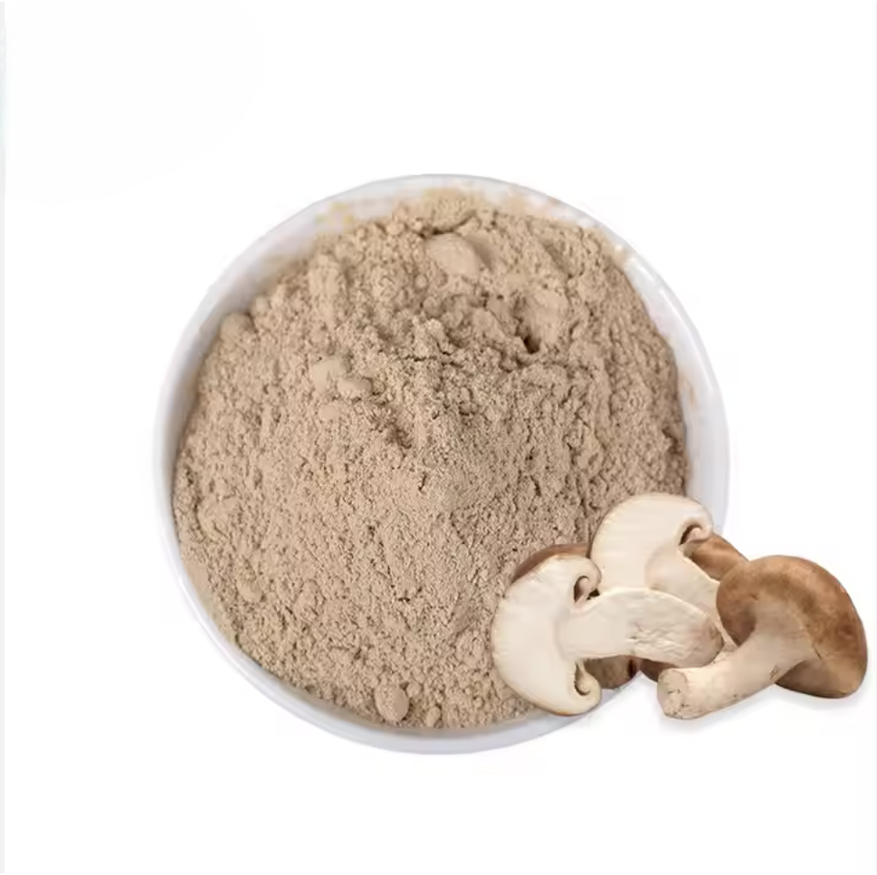 Supply Wholesale Price lions mane mushroom extract powder blend Lions Mane, Reishi, Cordyceps, Chaga, Shiitake, Maitake powder