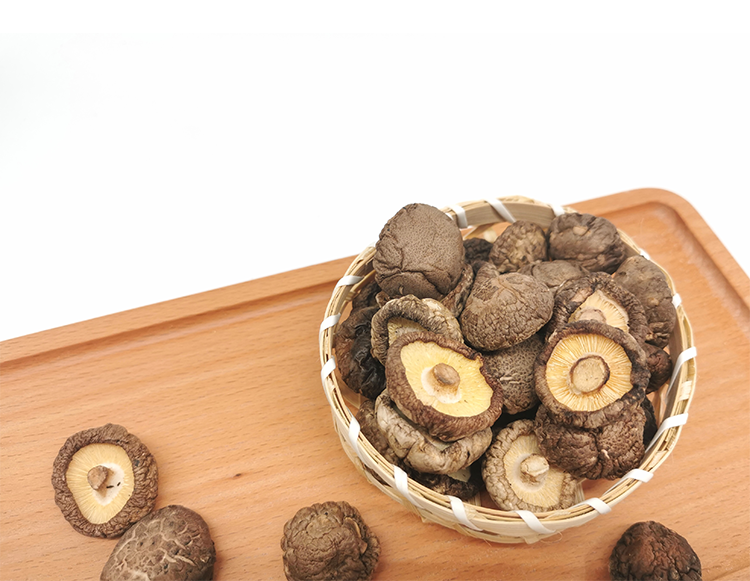 production with hot Sale Log White Flower Mushroom Dry Shiitake hot Sale Dried Mushroom