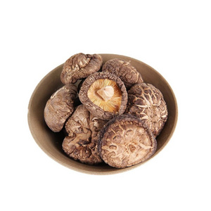 production with hot Sale Log White Flower Mushroom Dry Shiitake hot Sale Dried Mushroom