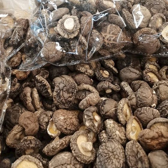 1kg 4cm wholesale bulk dried shiitake mushroom prices for restaurant