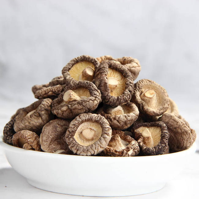 various specification china supplier fresh mushroom enoki mushroom