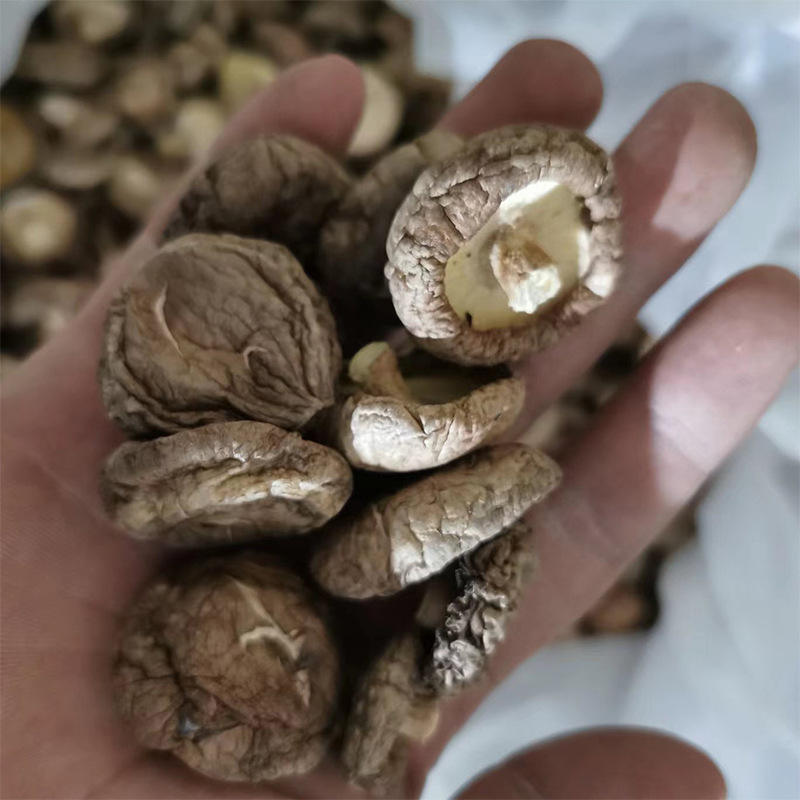 1kg 4cm wholesale bulk dried shiitake mushroom prices for restaurant