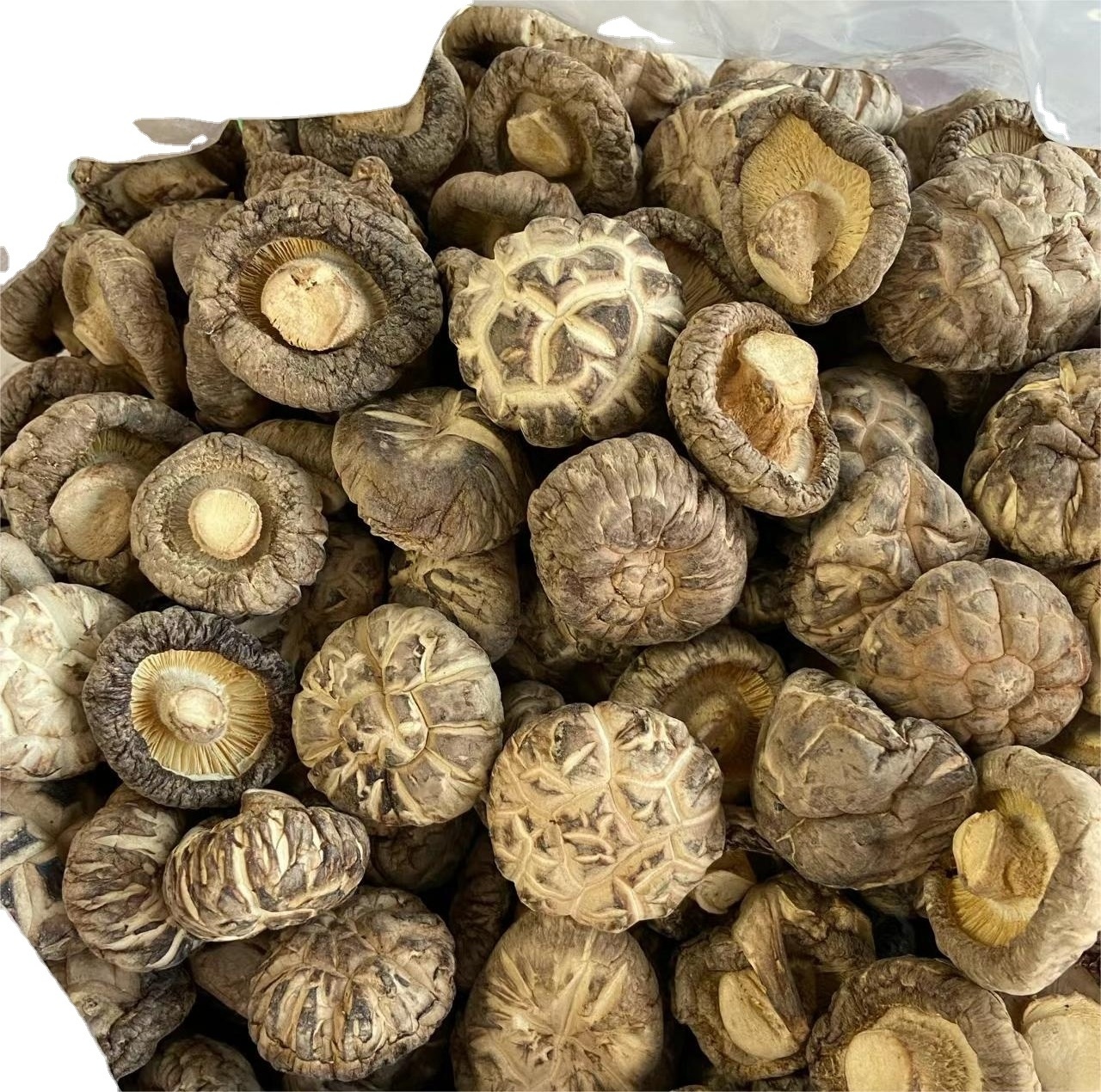 farmers direct sale dried tea flower mushroom healthy small flower mushroom