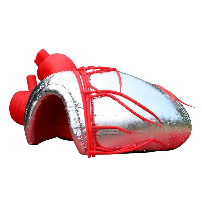 Vivid giant inflatable heart/Inflatable heart Organ for display Giant Inflatable Medical Heart Model For Science