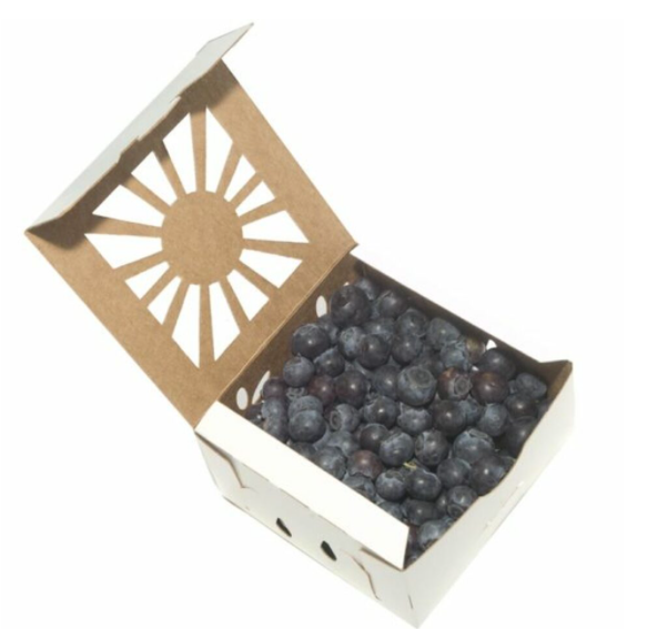 Custom Size And Logo Corrugated Fruit Packing Paper Boxes For Strawberry, Blueberry, Grape tomato