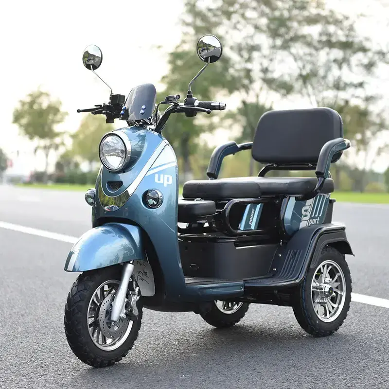 High Quality Mobility Scooter Electric Trike Lithium Battery Powered Adult Cargo 1000w Fat Tire Three Wheels Electric Tricycle