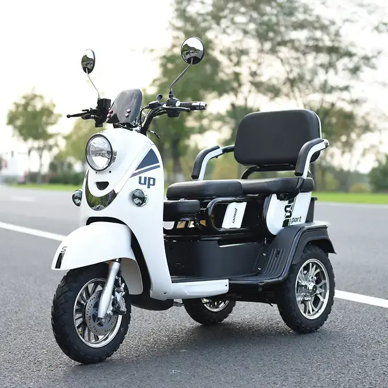 High Quality Mobility Scooter Electric Trike Lithium Battery Powered Adult Cargo 1000w Fat Tire Three Wheels Electric Tricycle