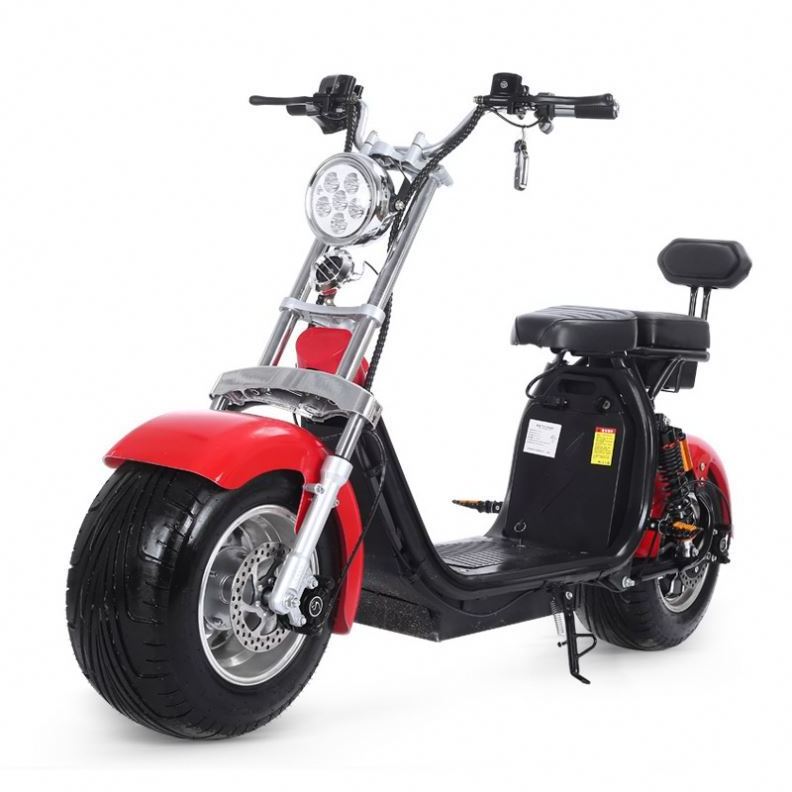 19 inch Smart Intelligent Offroad Chariot Electric NZITA Golf E Self Balance Scooter 60V 2000V 30-35km EEC COC Electric