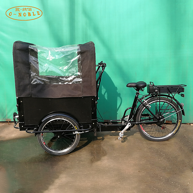 Electric cargo bike family use tricycle pedal aluminum frame