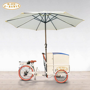 Front Load Tricycle Ice Cream Bike for sales ice cream cart