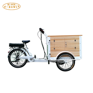 Electric reverse ride takeaway bike street food tricycle