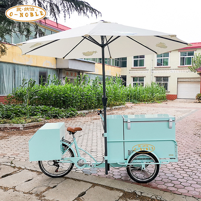 Professional design Mobile motorized electric ice cream bike with solar for sale