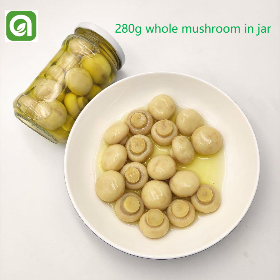 New Crop Canned Food Mushroom Wholes Canned Mushroom