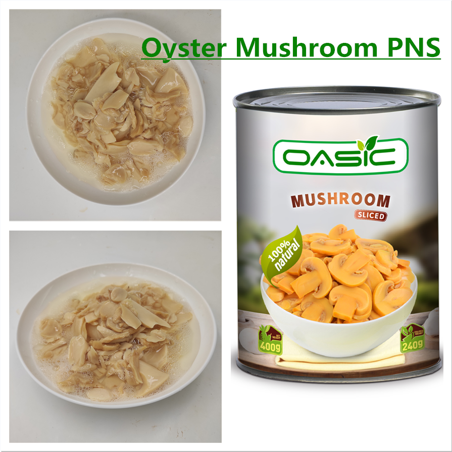 Canned king oyster mushroom from China