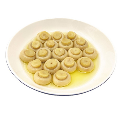 Best Quality Canned Vegetables Whole/Sliced/PNS Canned Mushroom