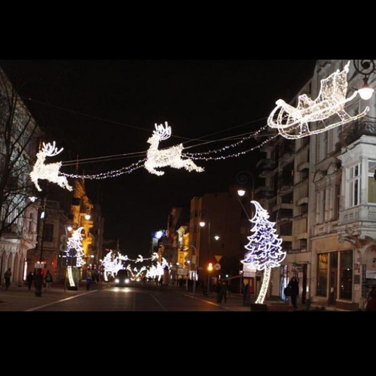 Outdoor Christmas display life size LED acrylic Santa sleigh and reindeer for shopping center Xmas light displays