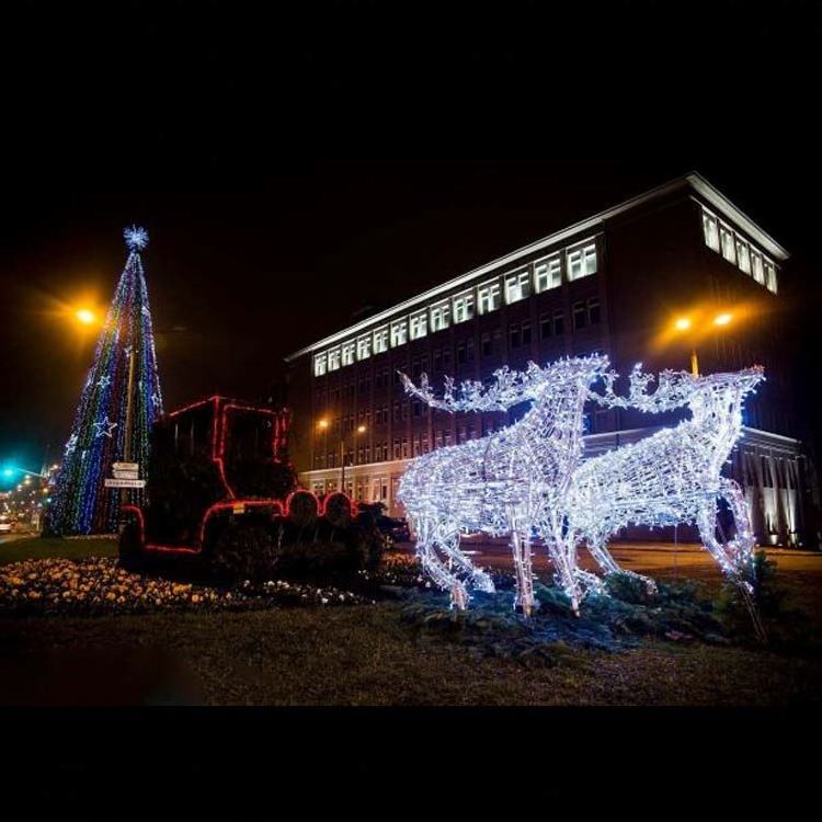 Outdoor LED Santa reindeer sleigh with LED lights flying reindeer lighting 3D Christmas light displays