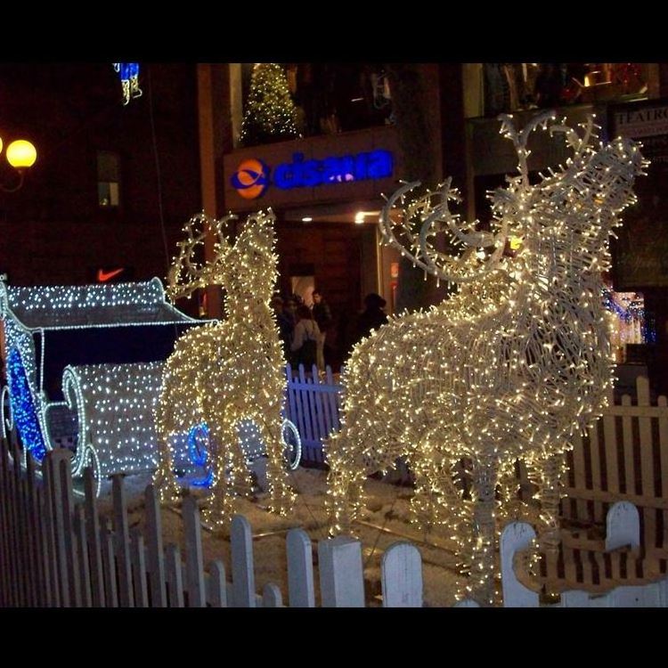 Outdoor LED Santa reindeer sleigh with LED lights flying reindeer lighting 3D Christmas light displays