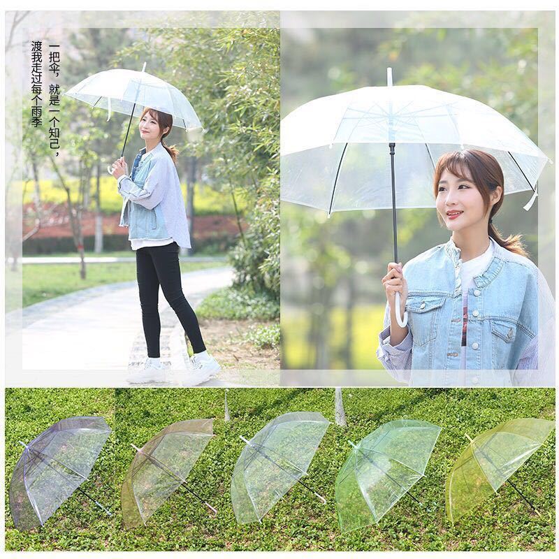 Cheap Colored See Through Dot Print Clear Transparent Umbrella Adult