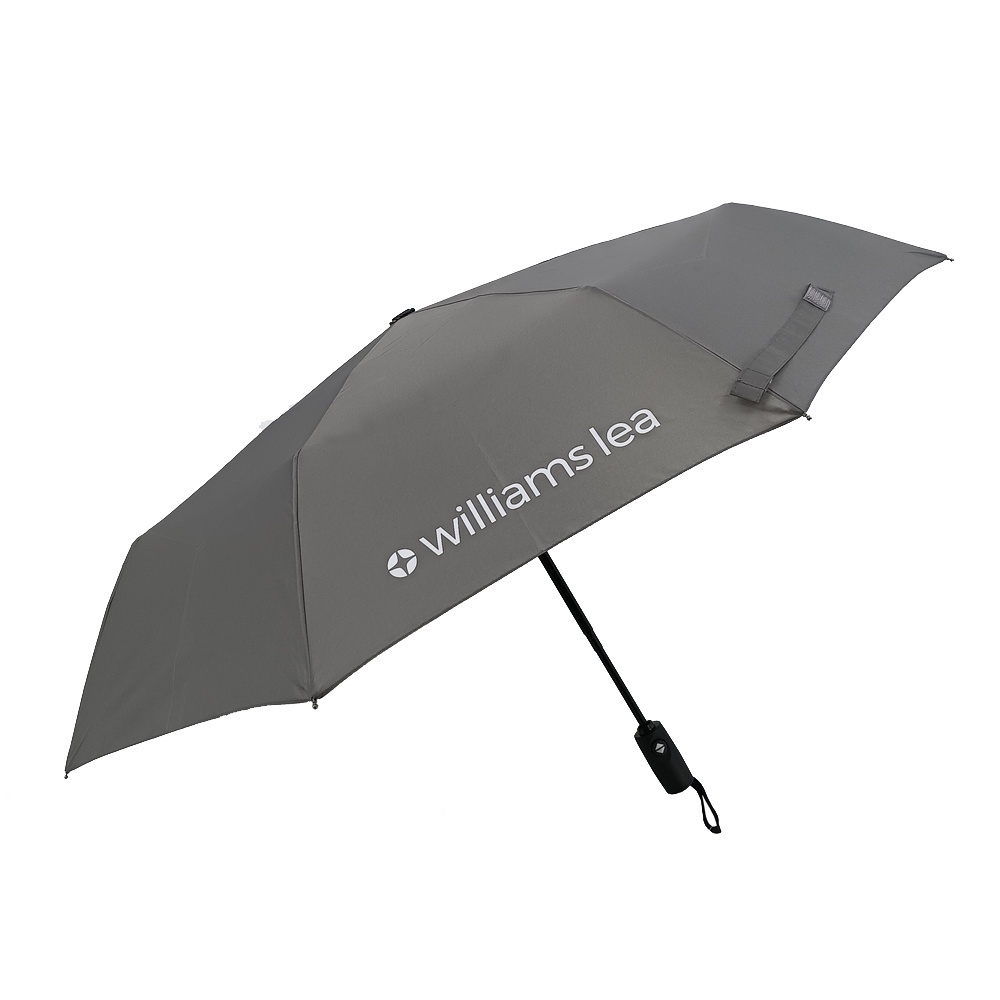 Designer Folding Umbrella Automatic Windproof Compact Double Canopy Travel Golf umbrellas