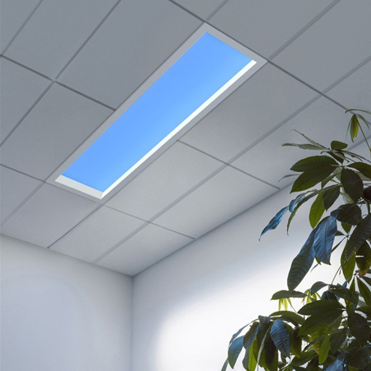 Artificial Skylight Indoor Roof Blue Sky LED Panel Lighting Fixture LED Blue Sky Light