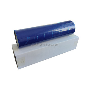 Self-Adhesive Carpet /Hard Surface / Window / Glass Protection Film