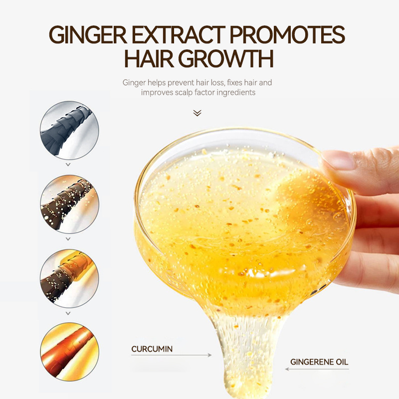 Private Label Healthy Natural Organic Hair Care Oil Control Anti Loss Regrowth Tea Tree Ginger Hair Growth Shampoo Set