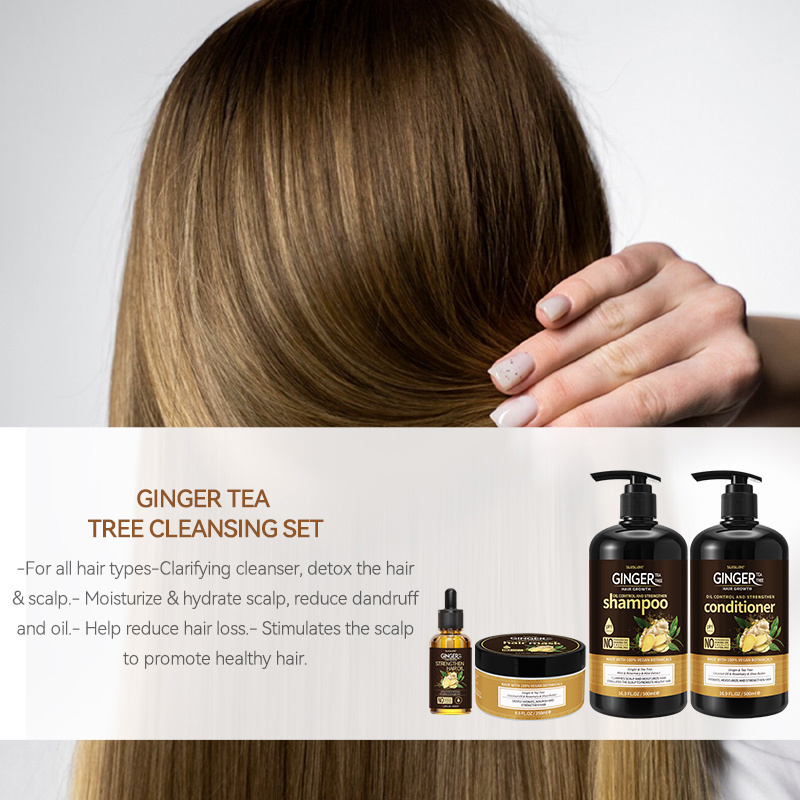 Private Label Healthy Natural Organic Hair Care Oil Control Anti Loss Regrowth Tea Tree Ginger Hair Growth Shampoo Set