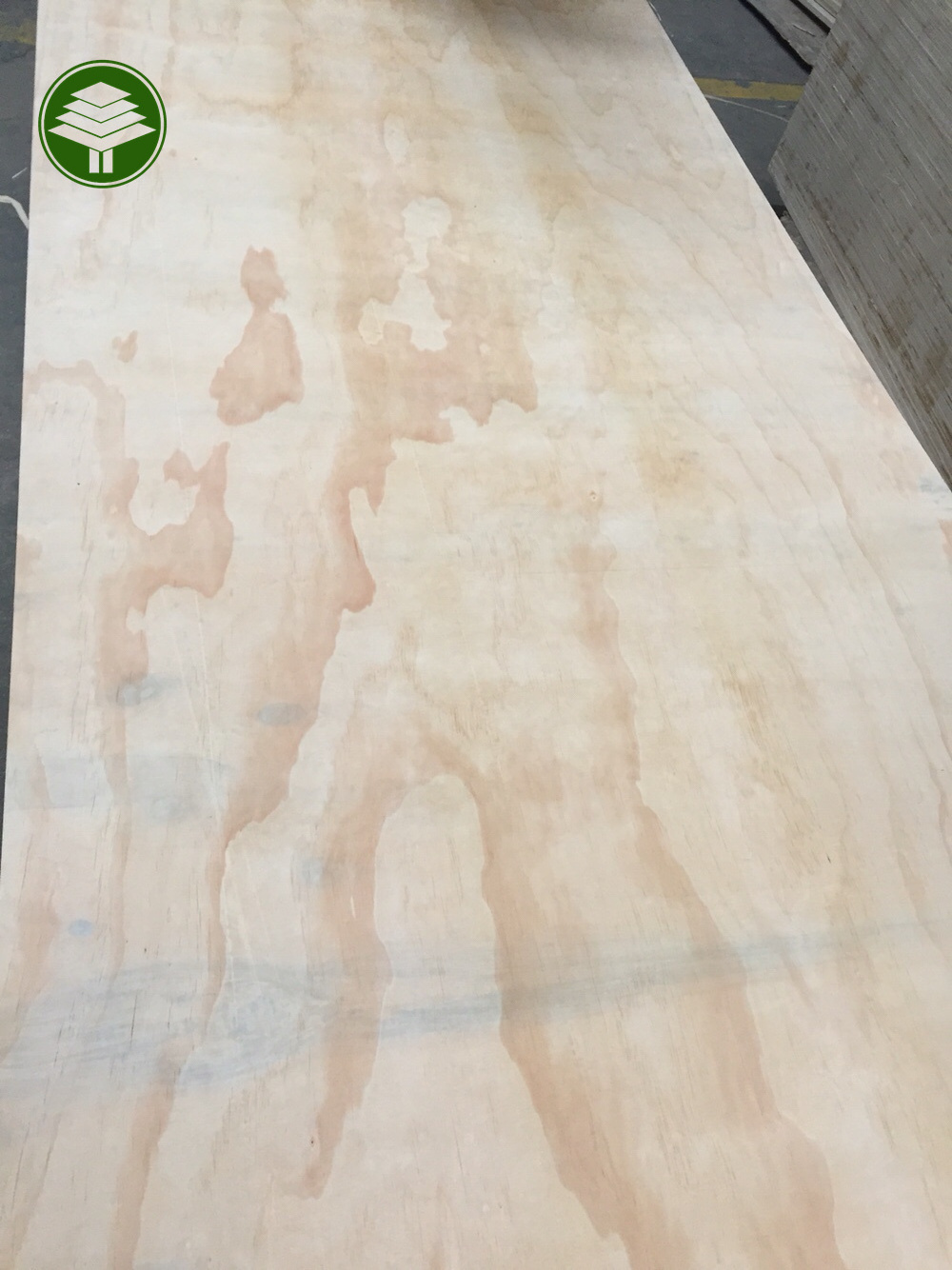 Factory price 12mm pine natural veneer furniture grade commercial plywood