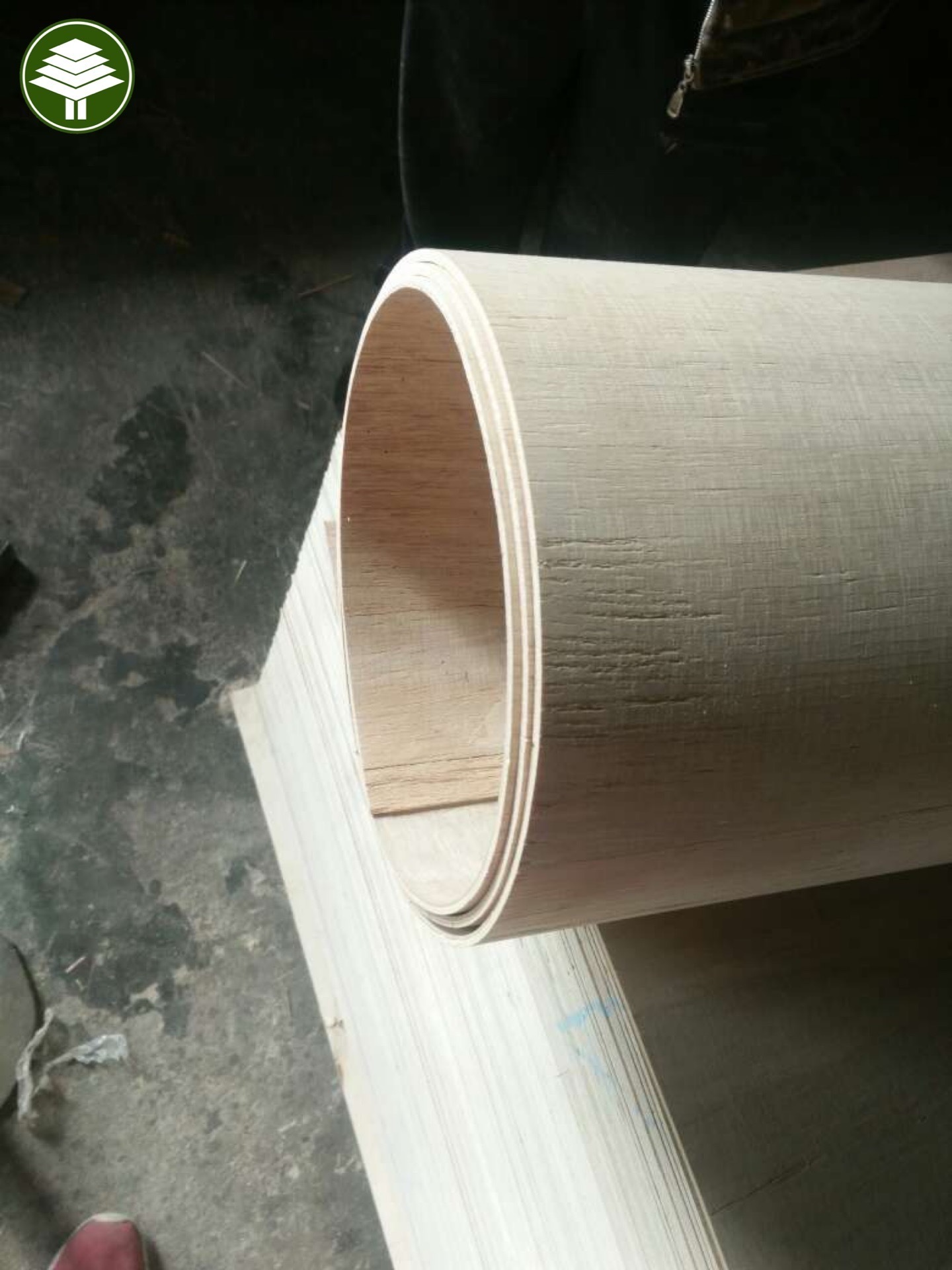 1220*2440*6mm 9mm bending plywood flexible commercial plywood