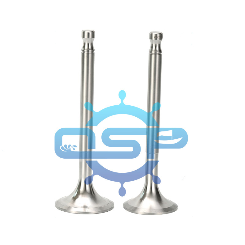 high quality outboard nanni diesel  boat Marine motor engine parts intake exhaust valves valve tappets