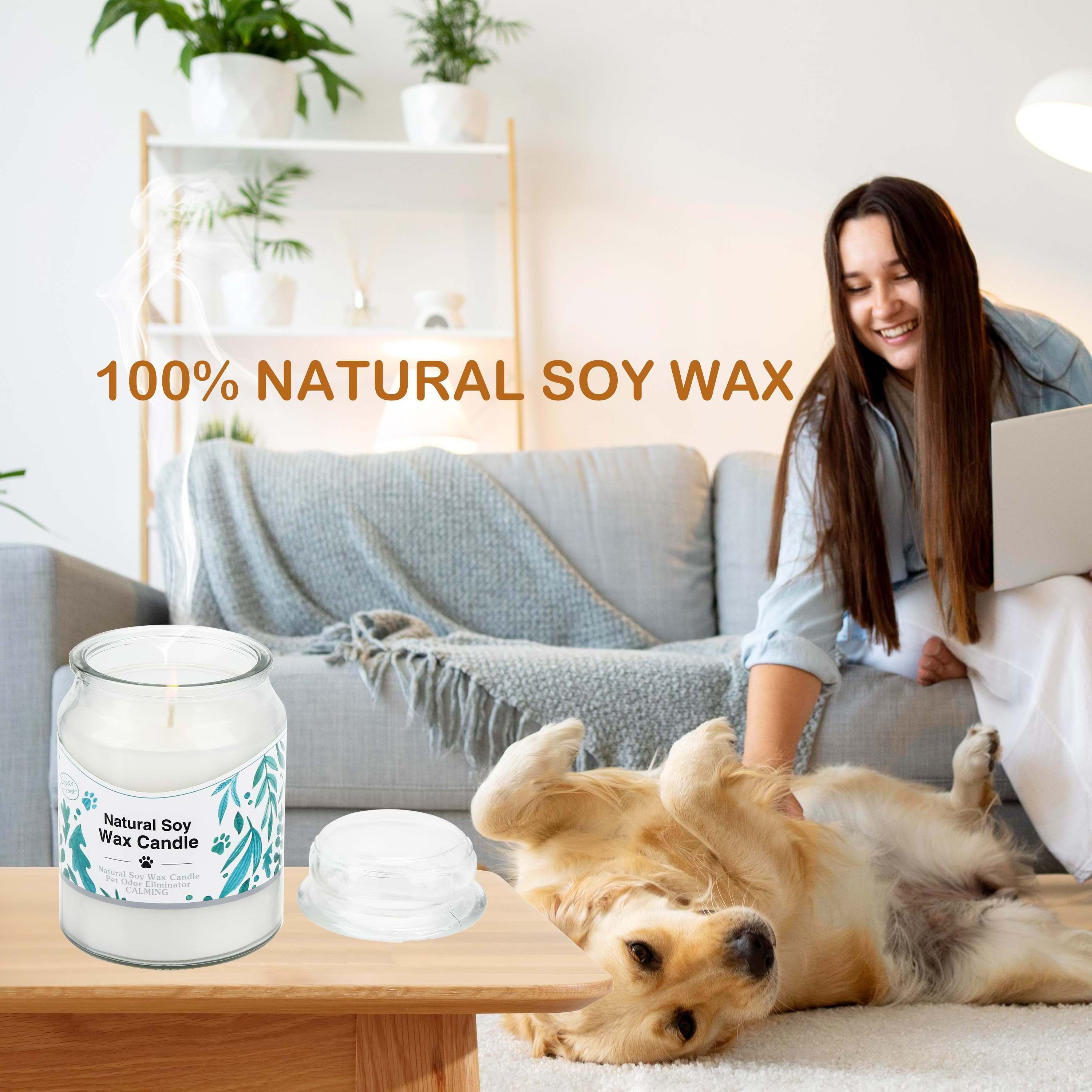 200g custom fragrance candle wax dog pet odor exterminator candle safe for cats