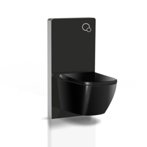 Black Colour Oceanwell Intelligent Toilet Hotel Bathroom Ceramic Wall Mounted One Piece Smart Toilet